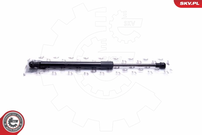 Gas Spring, boot/cargo area